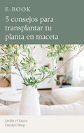 E-book 5 consejos para transplantar tu planta en maceta