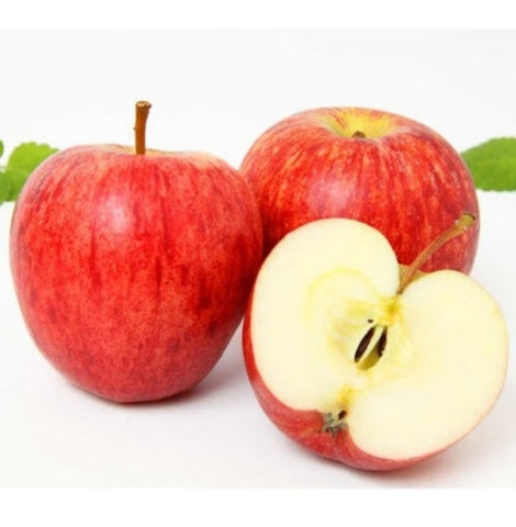 Manzana Royal 1,7 m