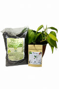 Pack Plantas de Interior Cordatum