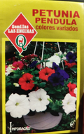Semilla petunia pendulo