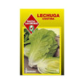 Semillas de Lechuga Costina
