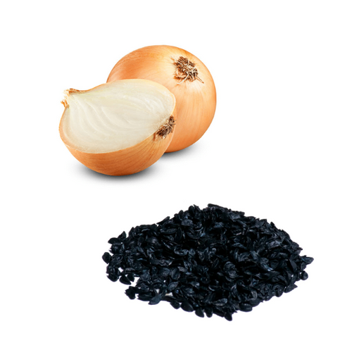 Semilla  Cebolla