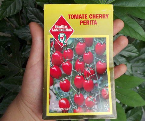 semilla Tomate cherry guía