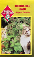 Semillas de Hierba del Gato Catnip | Nepeta Cataria