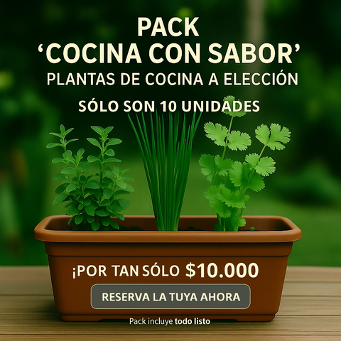 Pack Cocina con Sabor! $10.000