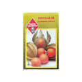 Semillas de Physalis | Linterna China