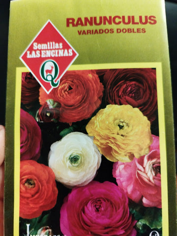 Semilla renunculo variados dobles