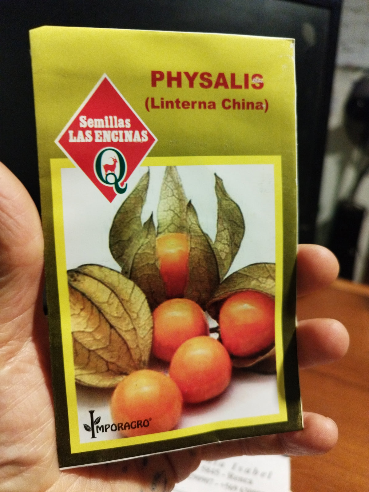 Physalis linterna china