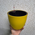 Macetero Autorregante amarillo