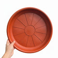 Plato N42